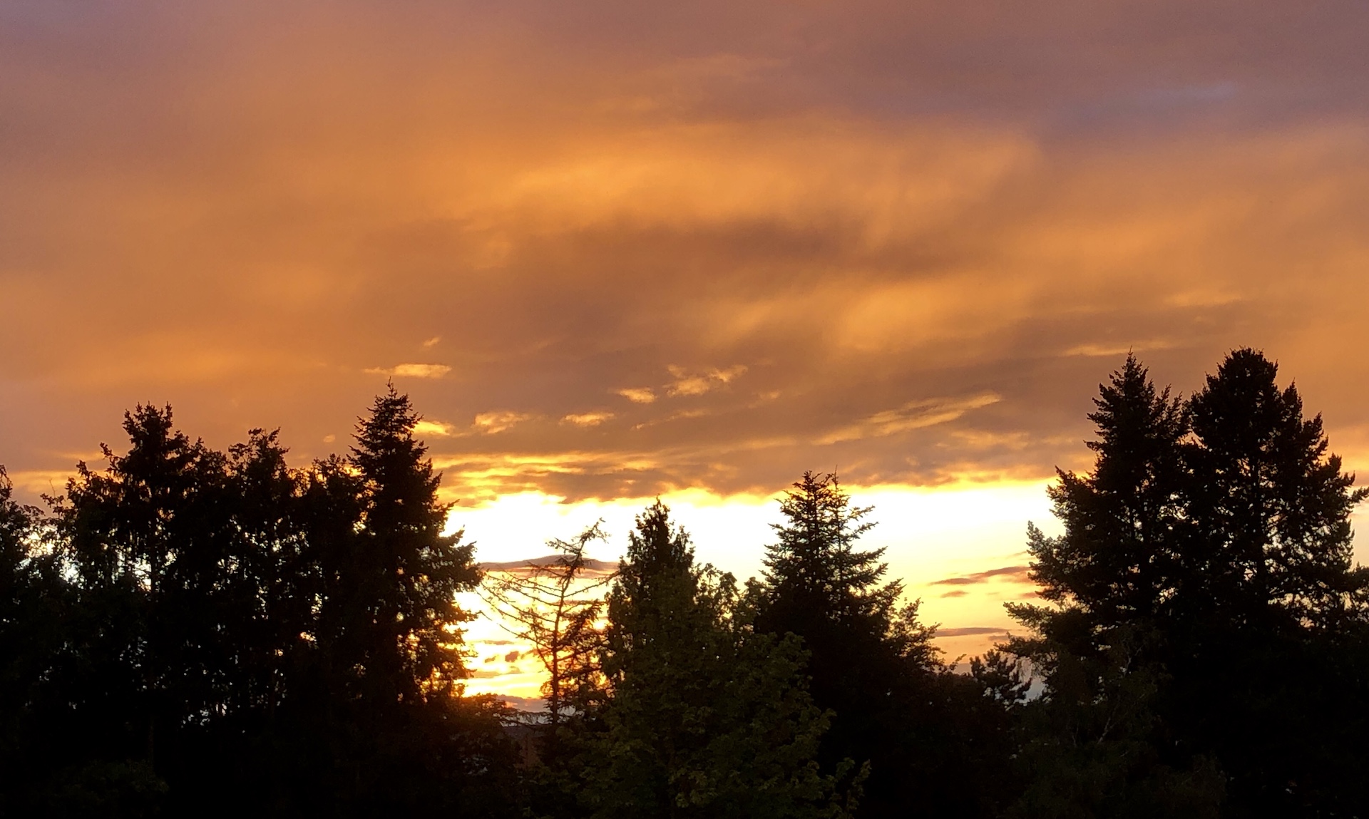 Ein schöner Sonnenuntergang auf der Wanderung von Dabringhausen zu Sengbachtalsperre